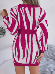 Animal Print V - Neck Long Sleeve Sweater Dress - Admiresty